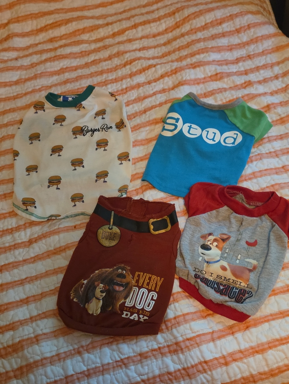 Small Dog tshirts